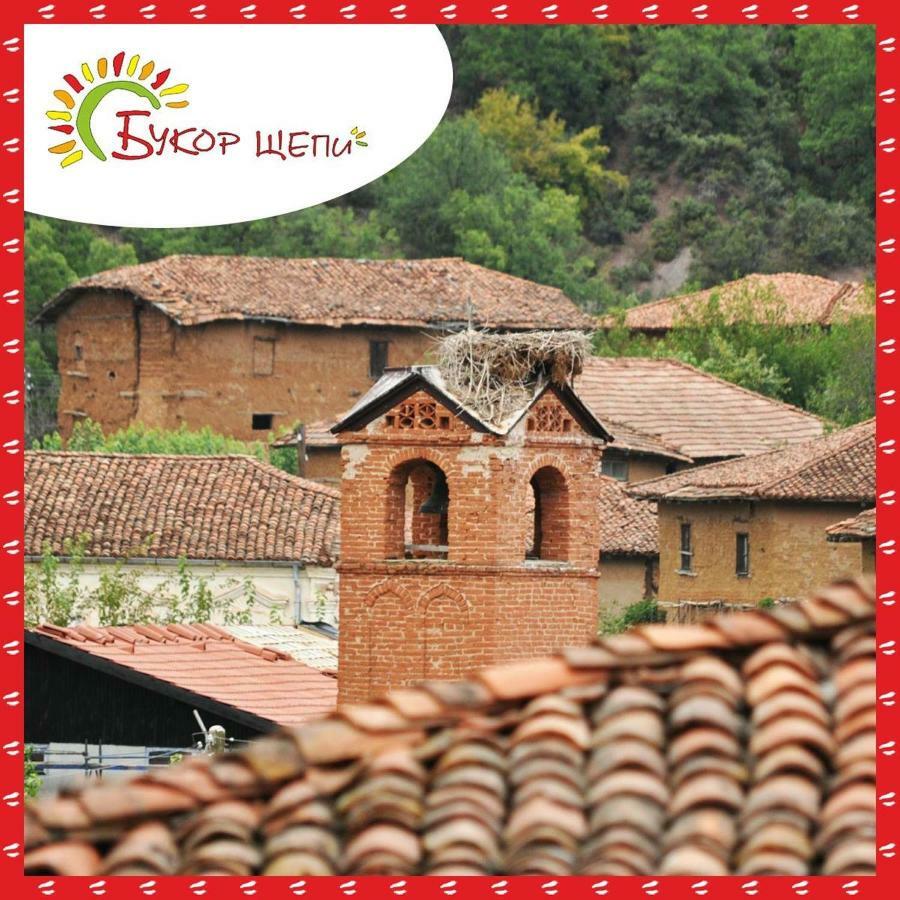 Guest House Bukor Shtepi Mandrica Exterior photo