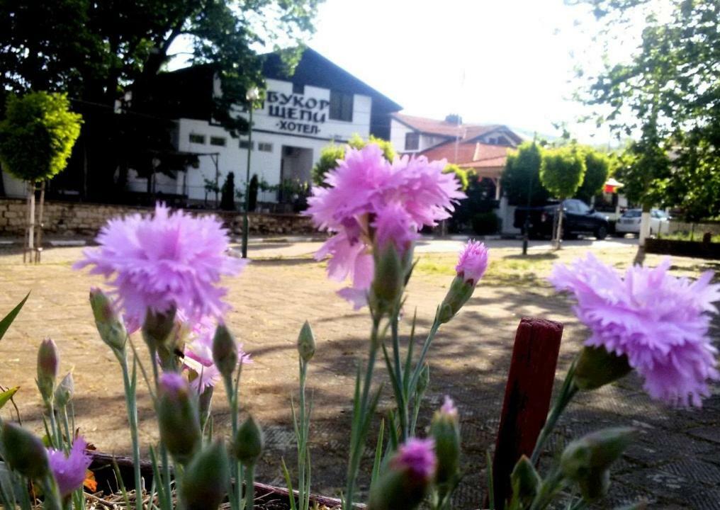 Guest House Bukor Shtepi Mandrica Exterior photo